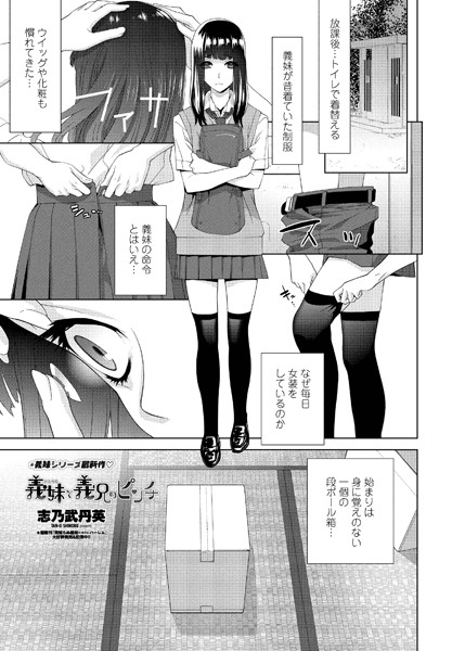 b469adgsk01250【エロ漫画試し読み】義妹と義兄のピンチ | 志乃武丹英