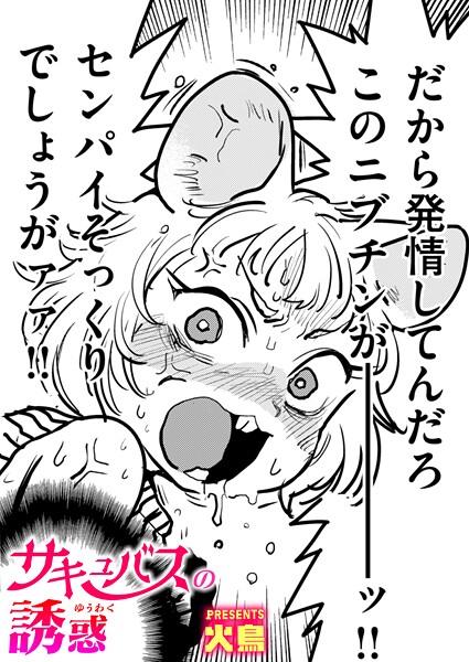 b915awnmg03719【エロ漫画試し読み】サキュバスの誘惑 | 火鳥
